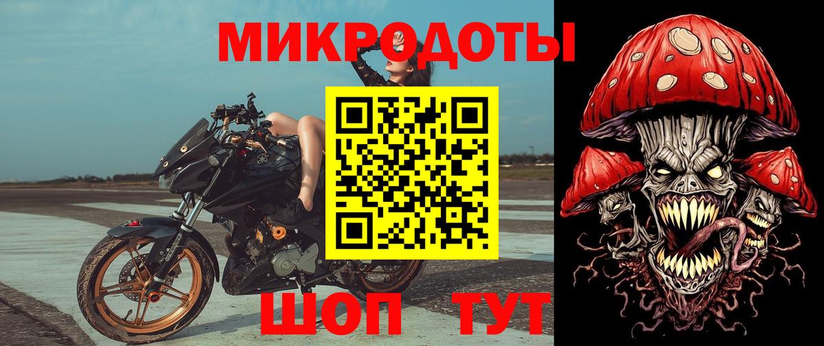 Псилоцибиновые грибы Psilocybine cubensis  Вход с VPN  Славгород 