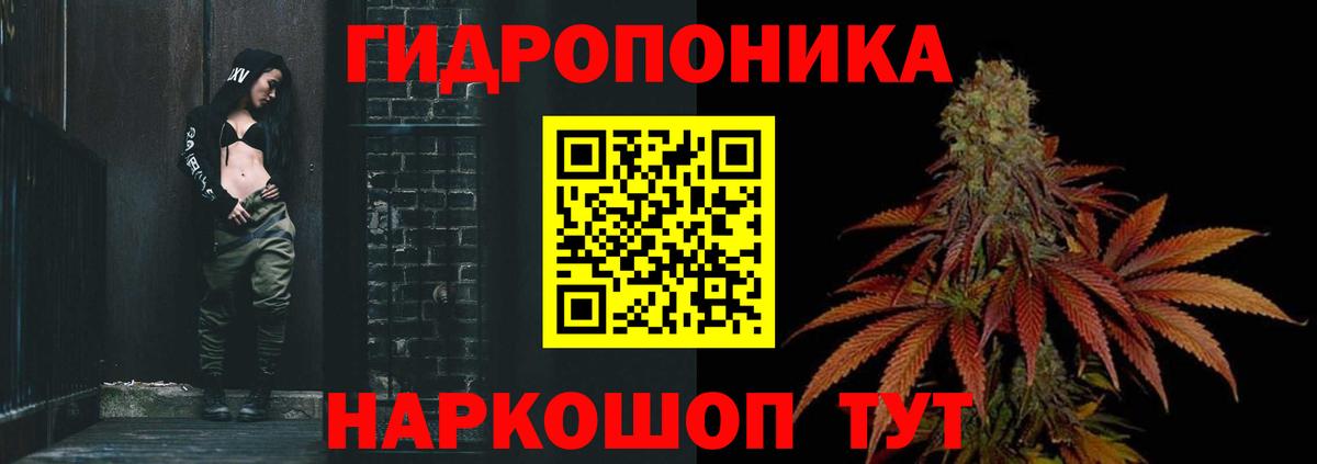 Бошки марихуана AK-47 Славгород